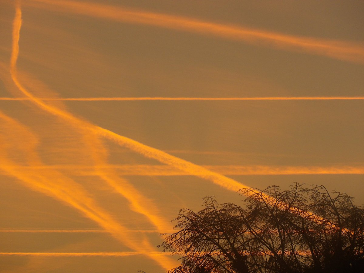 artllenio's tweet photo. #photo #photographie #photography #foto #fotografie #ceil #sky https://t.co/tXi4HE6xdX