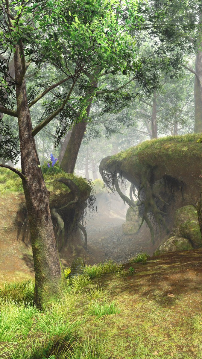 🌳🌫️🌿🌱

#FF14風景