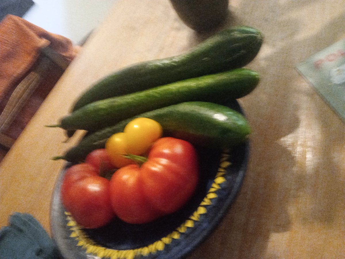 Erntezeit im kleinen Vorgarten.