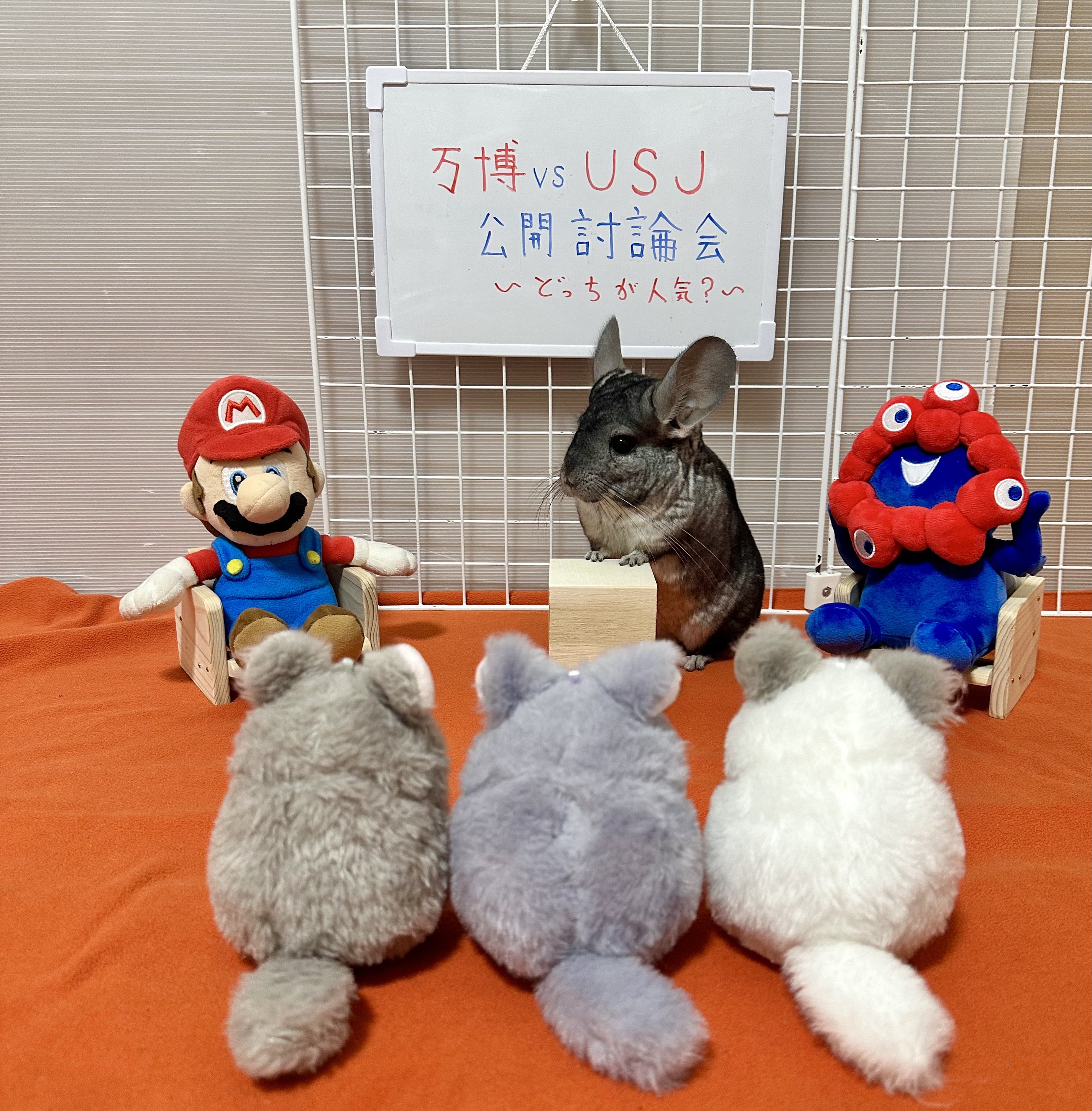 ❣ ちーこっこ ❣ ちーこっこ🐭 (@koyukineko9) / X