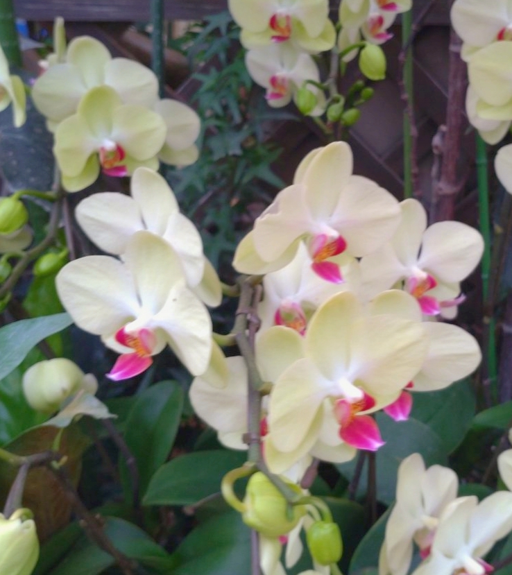 M2wZo's tweet photo. #散歩 #ウォーキング ときどき #ランニング  #花の写真を撮るのが好き 

ランニング初心者,ウ��ーキングをされる方向け。[プーマ] ランニングシューズ スペースランナー/ALT 
https://t.co/ZCojh2m2lq via Amazon [Ad]

🌿 https://t.co/ubsKhWp9ZU