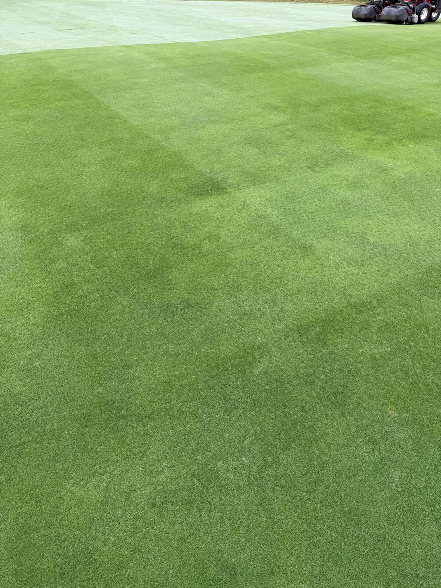 Less than 2 weeks apart. Greens are looking brilliant after bouncing back after renovations 🌱