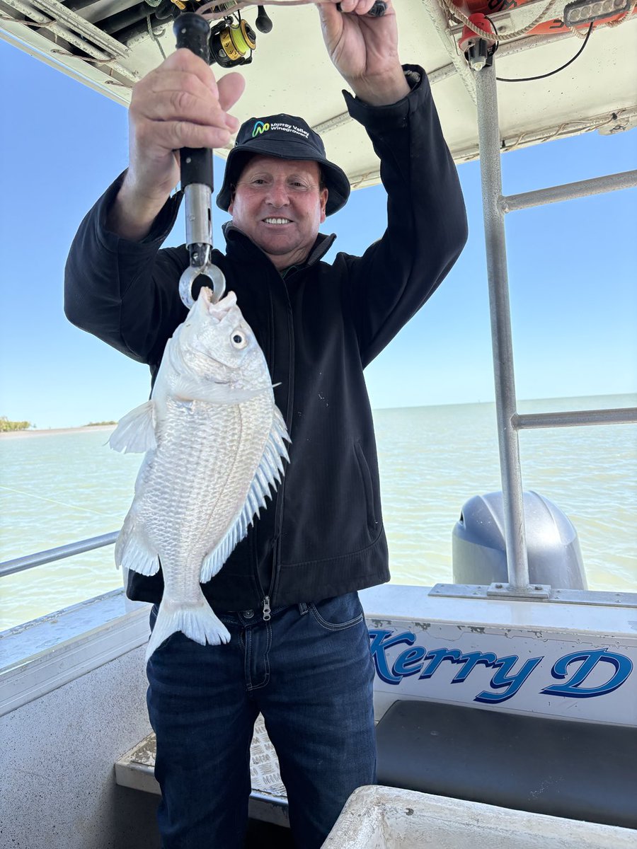 Bony brim on a very brisk morning at Karumba