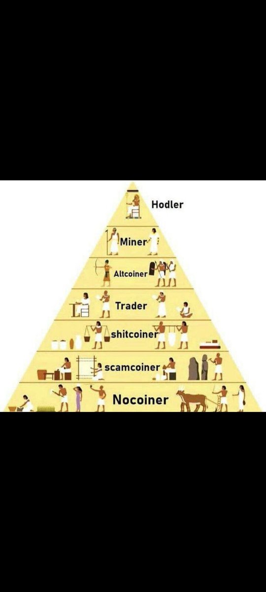 Zofu Finance (@artzofu) on Twitter photo 