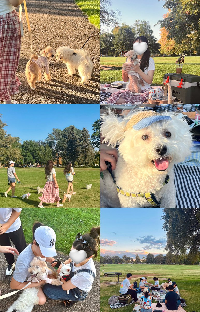 갱얼쥐들과 힐링타임…🤍