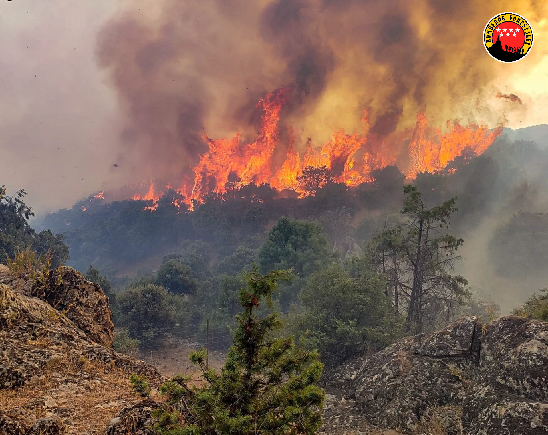 Foto cedida por Bomberos Forestales CAM
