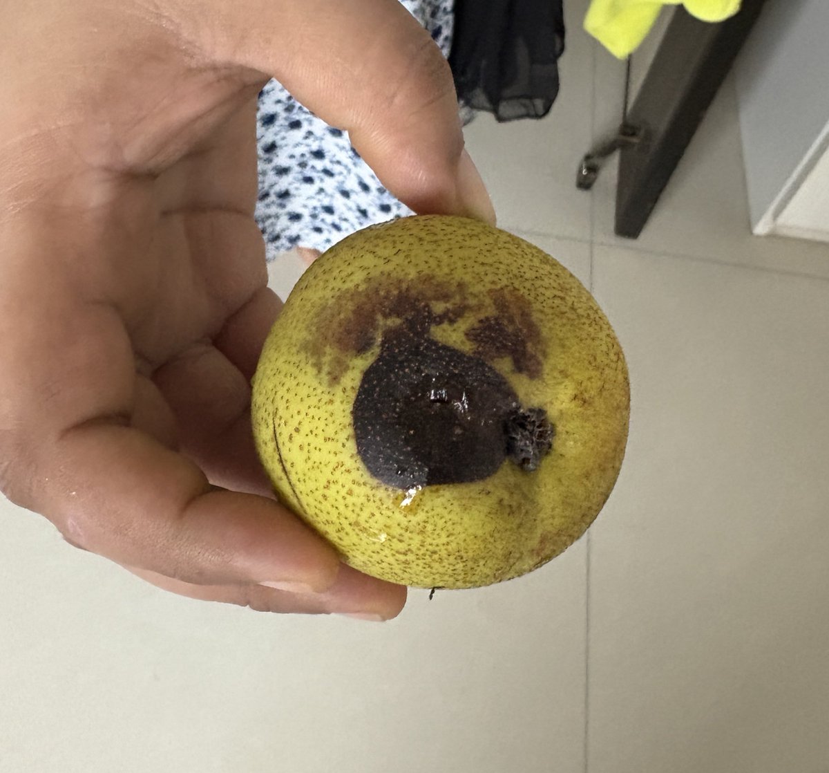abhishekdalvi's tweet photo. @ZeptoNow @zeptocares i think its high time you should have QC when packaging. Rotten fruits are unacceptable, refund is useless strategy. 
Same with @letsblinkit and others. 

@MoHFW_INDIA @ComplaintsNG https://t.co/E0210ZrneM