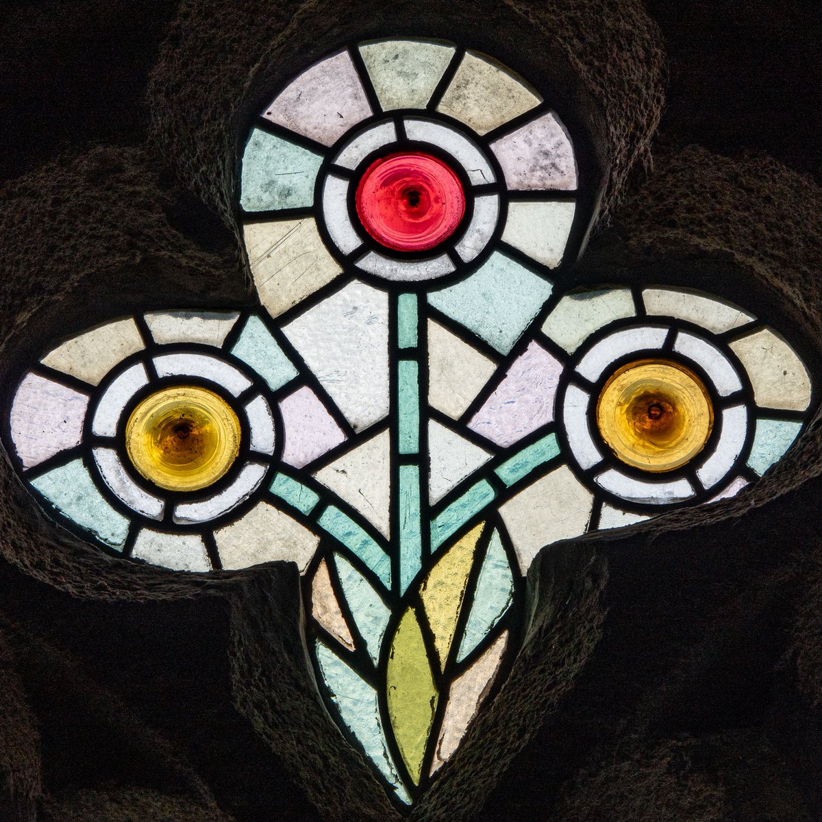 Flowers in the window