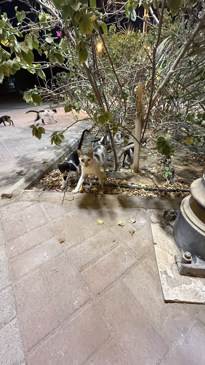 Reham (@_rxiirx77) on Twitter photo 