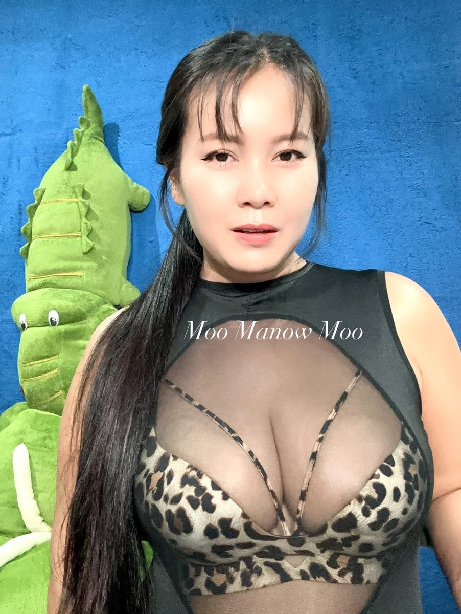 Moo Manow Moo 🇹🇭 tweet media