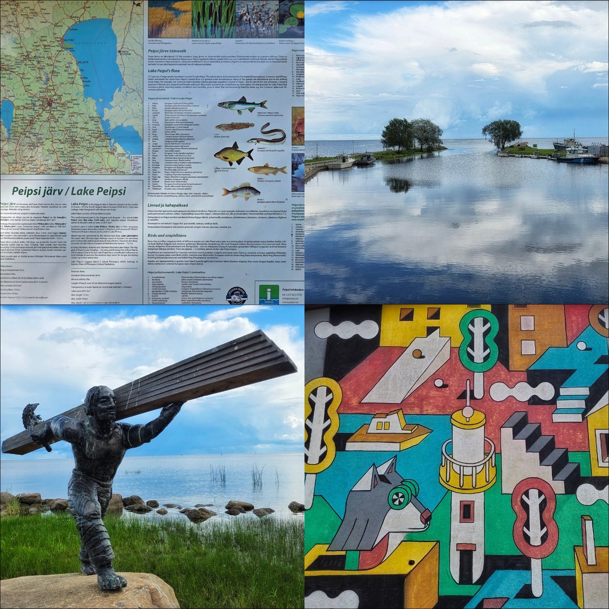 k_pawlowska's tweet photo. #GoodMorning & have a happy Tuesday 😊
#35 - #RoadTrip2025 - #BalticCountries
#LakePeipus #Estonia 🇪🇪
#Mustvee & #Kallaste
Peipus or #Peipsi is the largest transboundary water body & the fifth largest lake in Europe. And Kallaste is famous for its red sandstone cliffs. The measurements done in 2001 showed that they are about 930 metres long.
#Travel #VacationTrip2025
