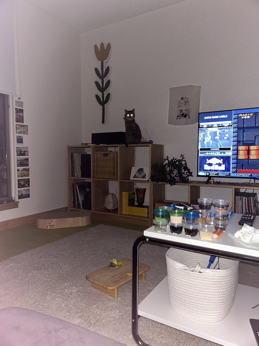 caiweyy's tweet photo. I see you staring at me https://t.co/6Hc1yMXHZu