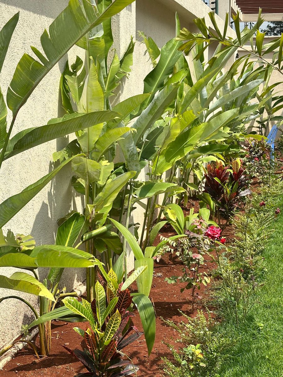 LANDSCAPING SERVICES

0720861592