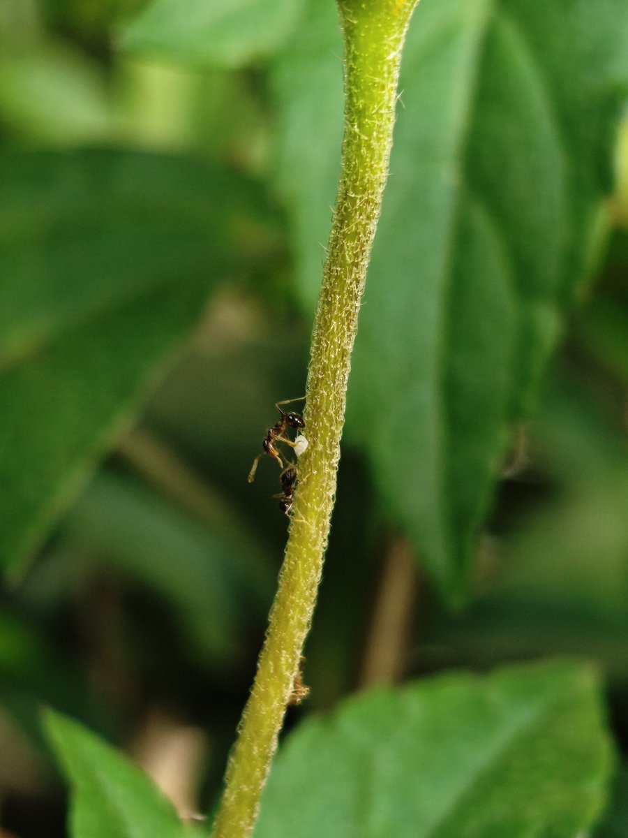 Soham Khade (@soham0510) on Twitter photo 