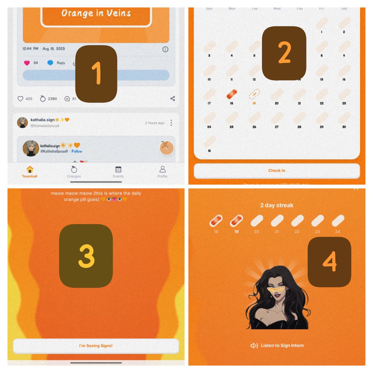 Triumph🍊 tweet media