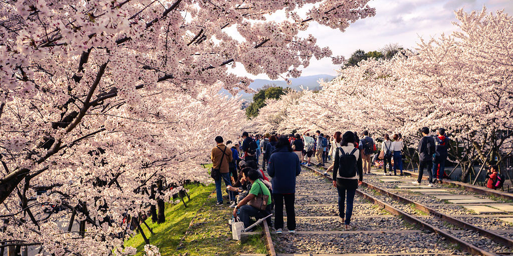 AgenttravelES's tweet image. Japón endurece las condiciones para los turistas extranjeros con nuevas medidas de control agenttravel.es/noticia-059547…