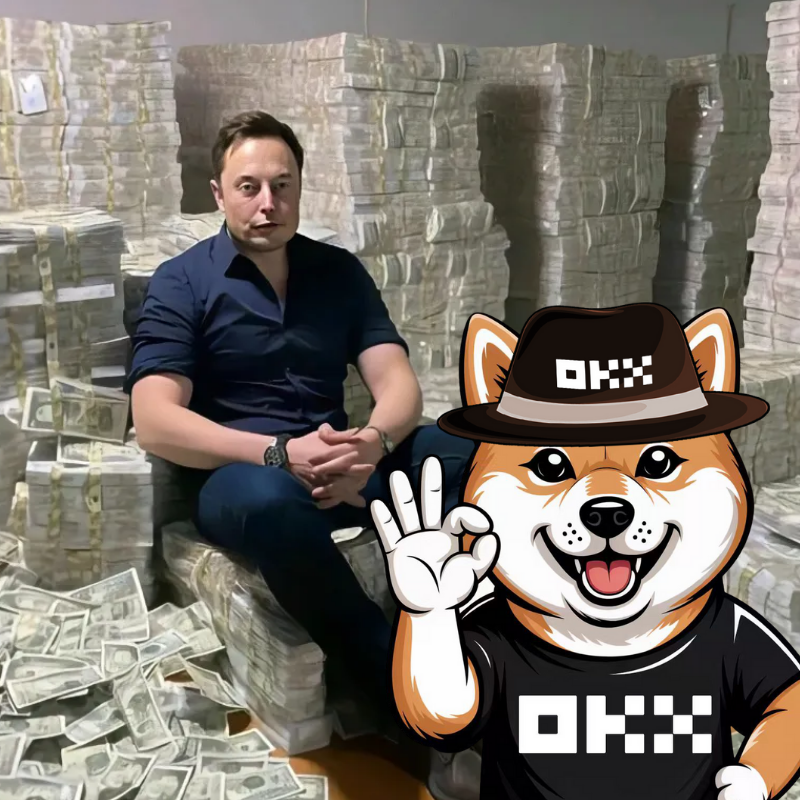 StarDoge tweet media
