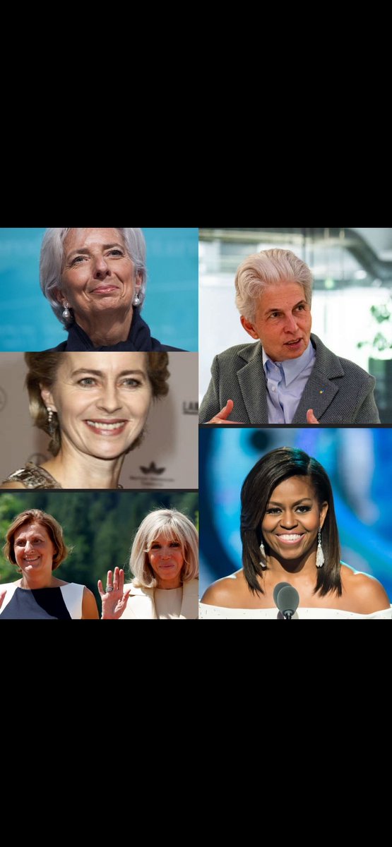 Tina Zimmermann tweet media