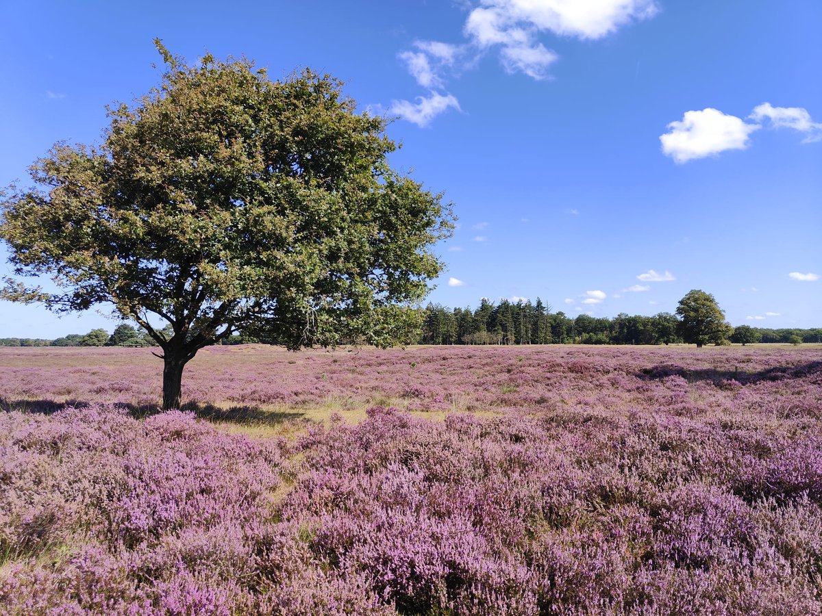 Goedemorgen Nederland, genieten jullie even lekker mee van het mooie weer?
Maak er, net als wij, een mooie dag van.
