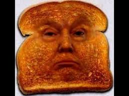 Trump is fucking toast