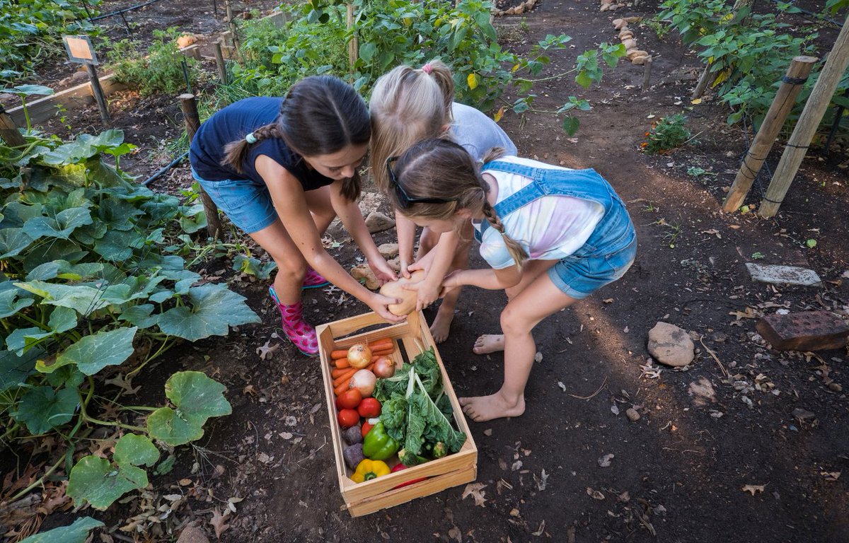 🌱 Not all soil is safe. Heavy metals &amp; toxins can lurk where you least expect them.
✅ Get peace of mind with a quick, reliable soil test from #SafeSoilUK
Perfect for:
🏡 Gardens &amp; allotments
🏫 Schools &amp; playgrounds
🌍 Community projects
🔗 safesoiluk.co.uk
#SoilHealth
