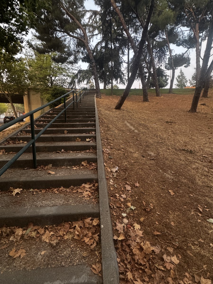 Escaleras / Cuestas
Uno de los recursos para acondicionamiento cardiomtebólico que más nos gustan.