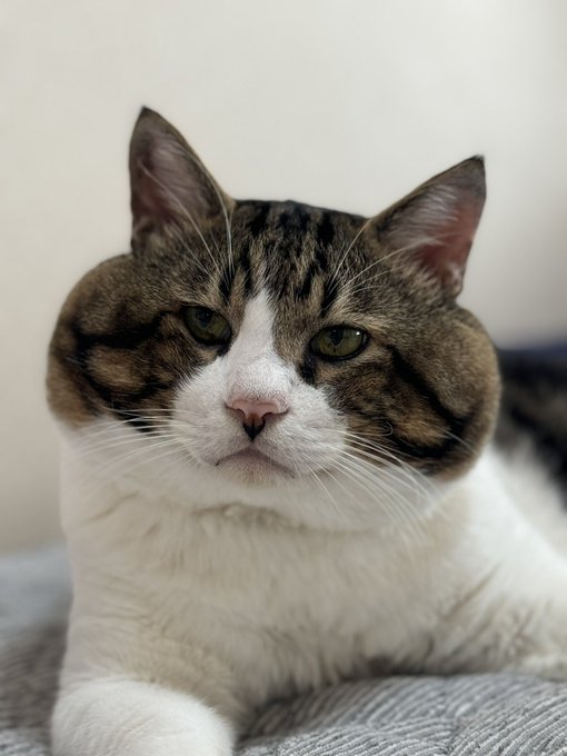 Twitterのコスプレ画像6