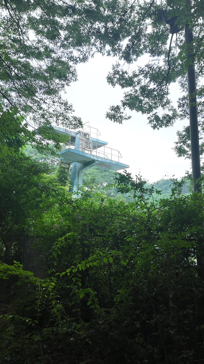 in honor of loonaversary, it took 7 years but we made it to orbit heaven