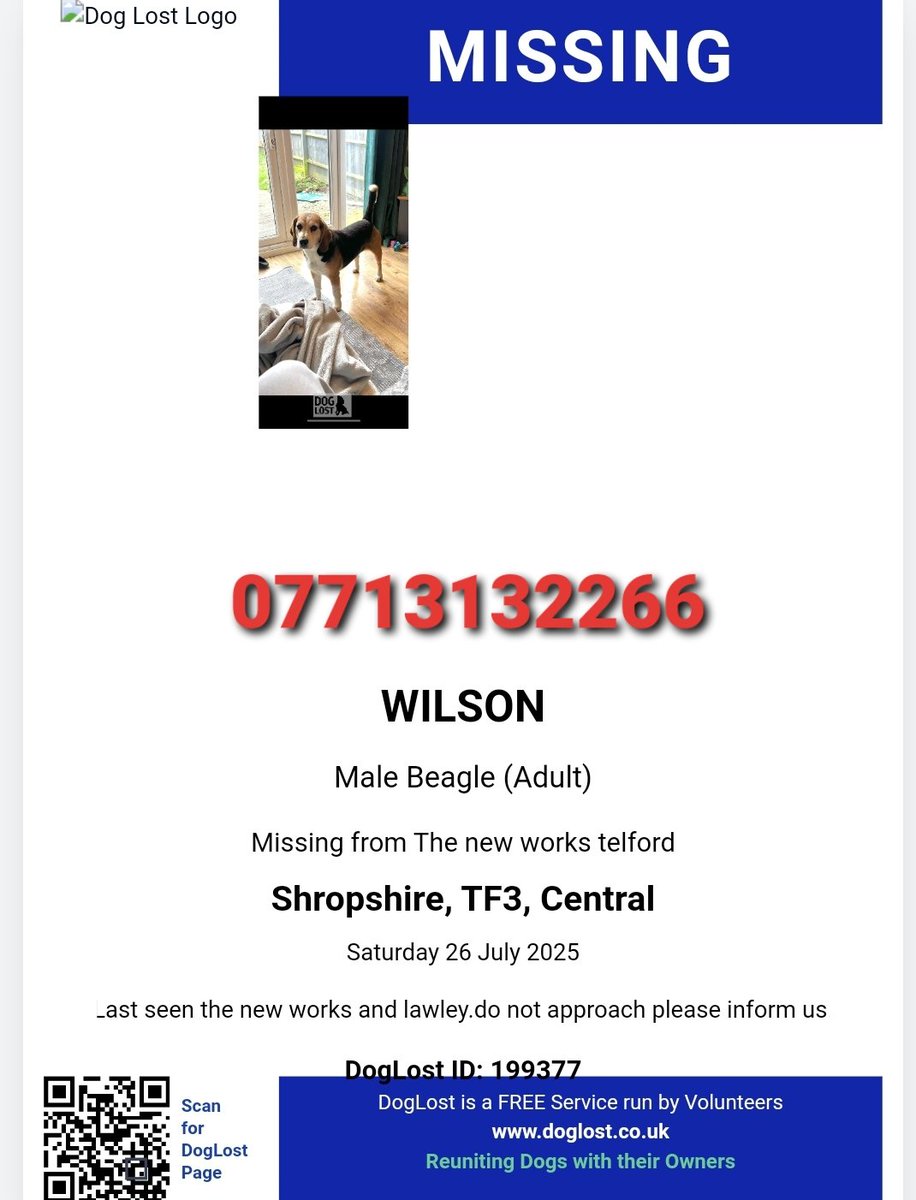 WILSON STILL #MISSING

Wilson is a 6 year old Beagle from Lawley #Telford 

Missing since Saturday evening (26/7) where he ran to Newdale Park (near his home) and was seen a few times up until 11.30pm for which he ran towards Lavender Close, past the construction site (TF3 5JN)