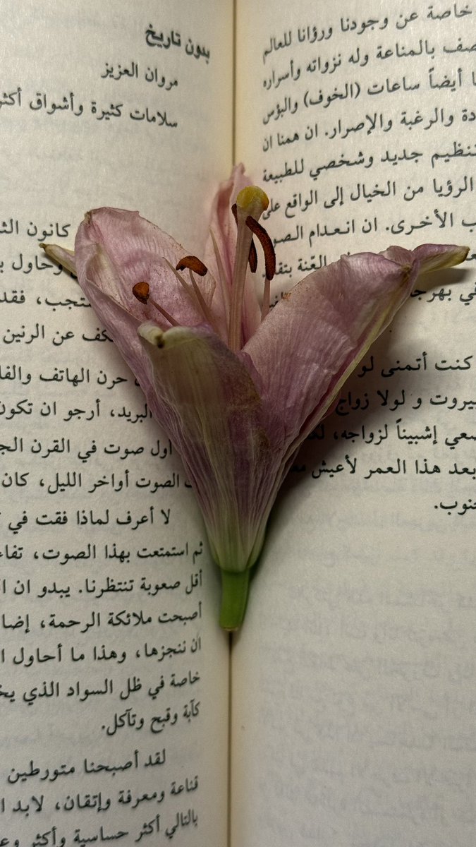 i5akx's tweet photo. صباح الخير. 
🌺📖👩🏻‍💻🤍🥥 https://t.co/nOrfK9ojm6