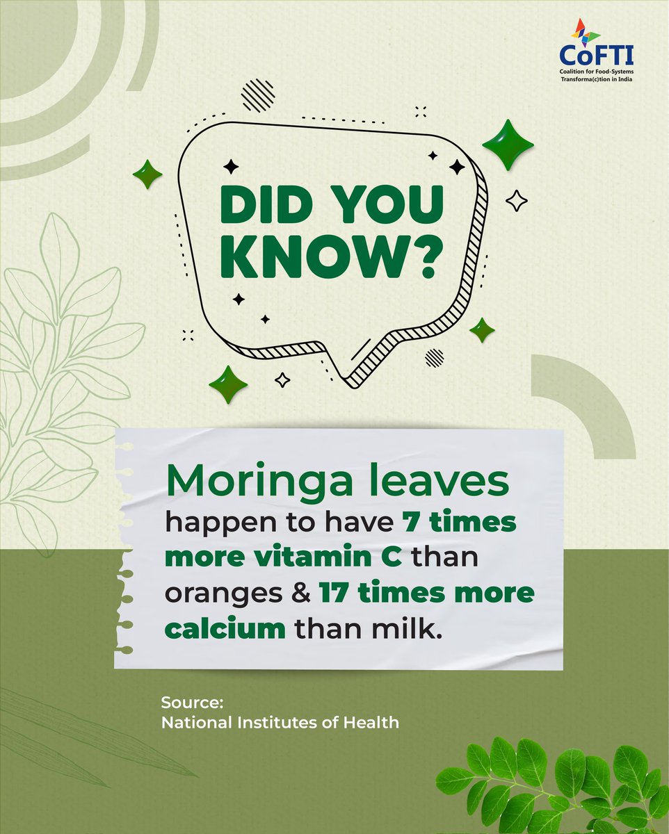 Cofti_india's tweet photo. Moringa leaves pack 7x more Vit C than oranges &amp; 17x more calcium than milk. 🌿
Long a staple in Indian kitchens &amp; medicine, it’s now being rediscovered as a superfood — and a symbol of food sovereignty. The future of nutrition may lie in our backyards.

#MoringaMatters https://t.co/yKdIFDRLoQ