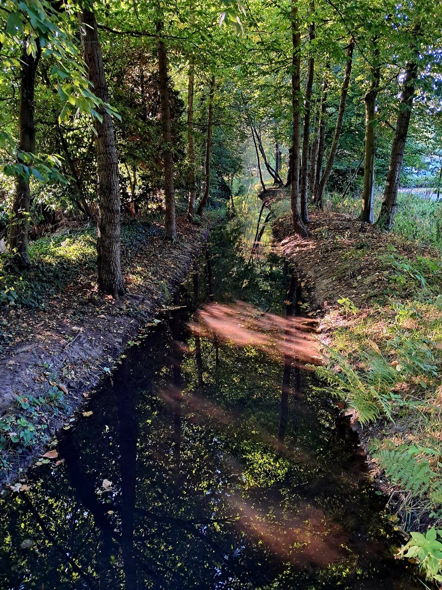 Fijne dinsdag!🍀
De ochtendwandeling zit er op🐕
Nu eerst ☕️