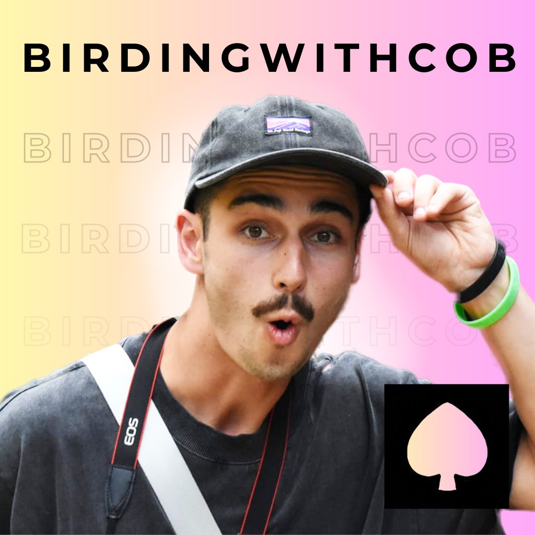 The Eagle has landed 🦅 Welcome BirdingwithCob!