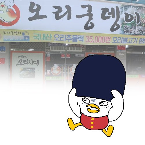 똘짤이 tweet media