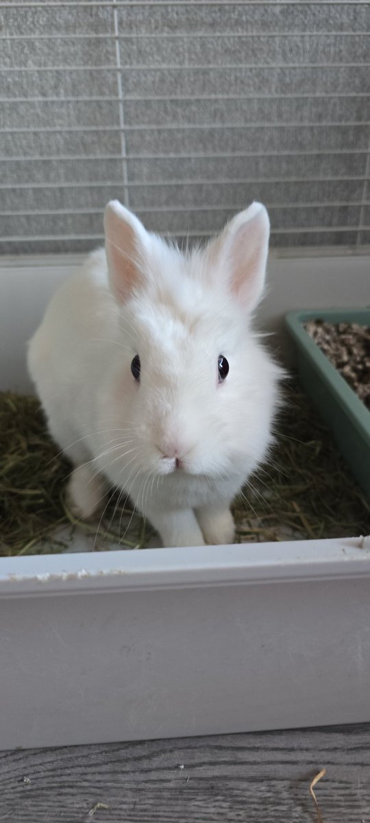 ᴛʀɪѕʜ ౨ৎ tweet media