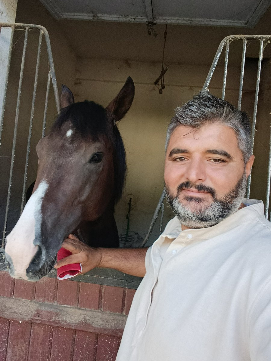 Taşdemir Han.