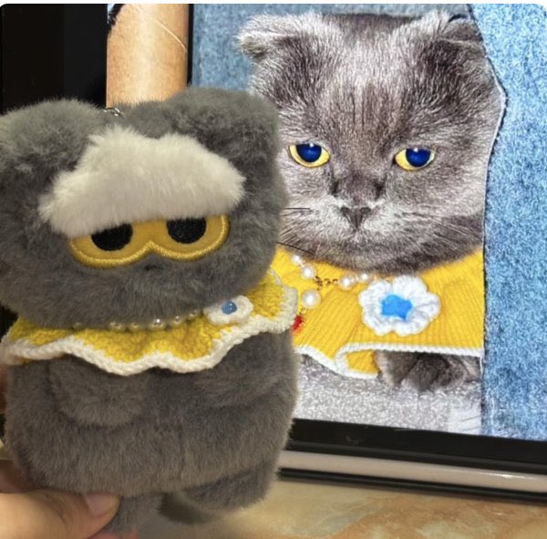 パクジフン センイルカフェ ぬいぐるみ