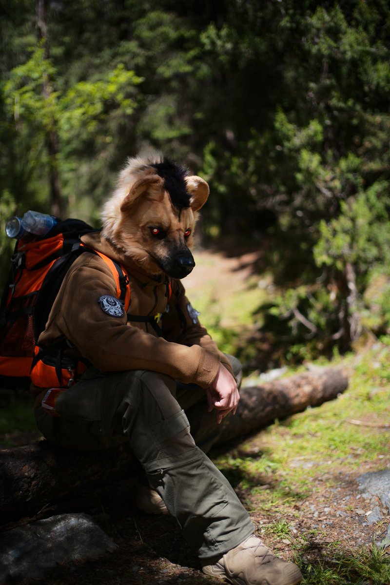 #FursuitEveryday 
也是徒步上了！
📷： <a href="/shark24848324/">这是狇吟（Mu_Yin）</a>