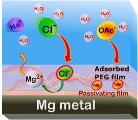Mandal-Group_IITRopar tweet media