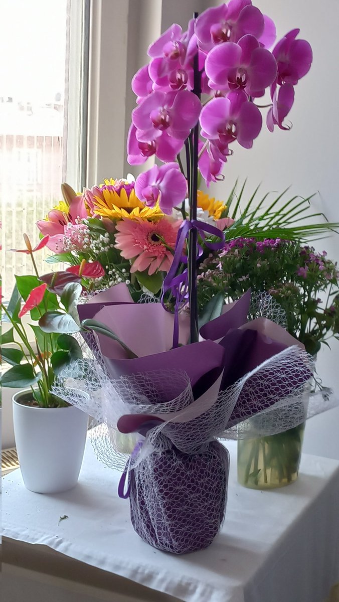 GÜZEL ÇİÇEKLER İÇİN 
TEŞEKKÜRLER 

ZİYARETÇİLER 
BENI ÇİÇEKLERE   BOĞDULAR  !!