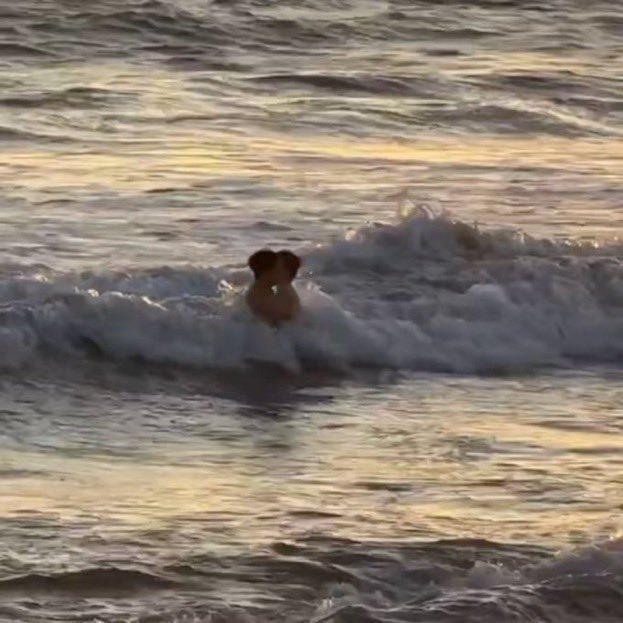 adam el ele tutusup opusurlerkenki videolarini paylasmis