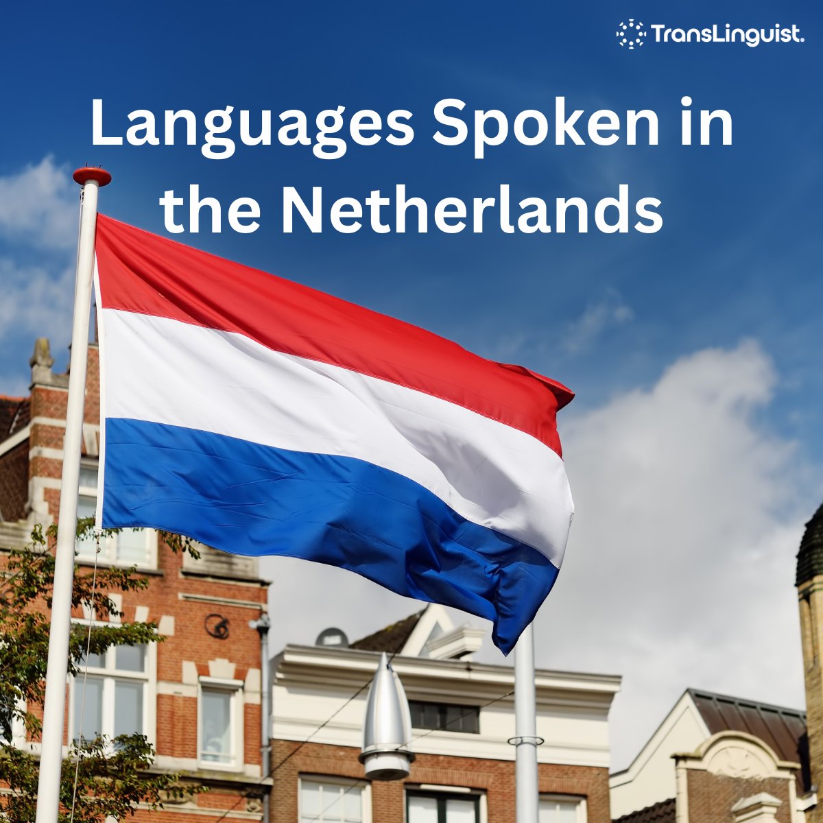 TransLinguist_'s tweet photo. 🇳🇱 The Netherlands speaks more than Dutch - Frisian, Papiamento, immigrant languages &amp; dialects shape its culture.

At @TransLinguist_ , we help you connect. 

🔗 https://t.co/PeK6LHvKUf

#Translation #Netherlands #TransLinguist https://t.co/7lqdy0XCHV