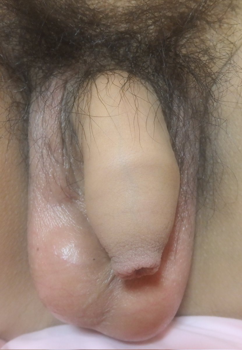 我是大叔 tweet media