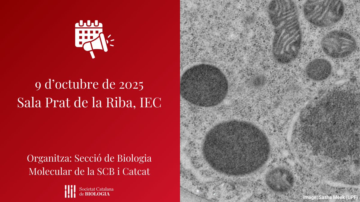 XXXI #Jornada de Biologia Molecular | La SCB amb the Cell and Tissue Research in Catalonia (CATCAT) organitzen aquesta jornada!
No us ho perdeu!

Data límit presentació de resums i pòsters: 17/9 i 26/9 respectivament

🔗Per a més informació i inscripcions:
tuit.cat/bwuJw