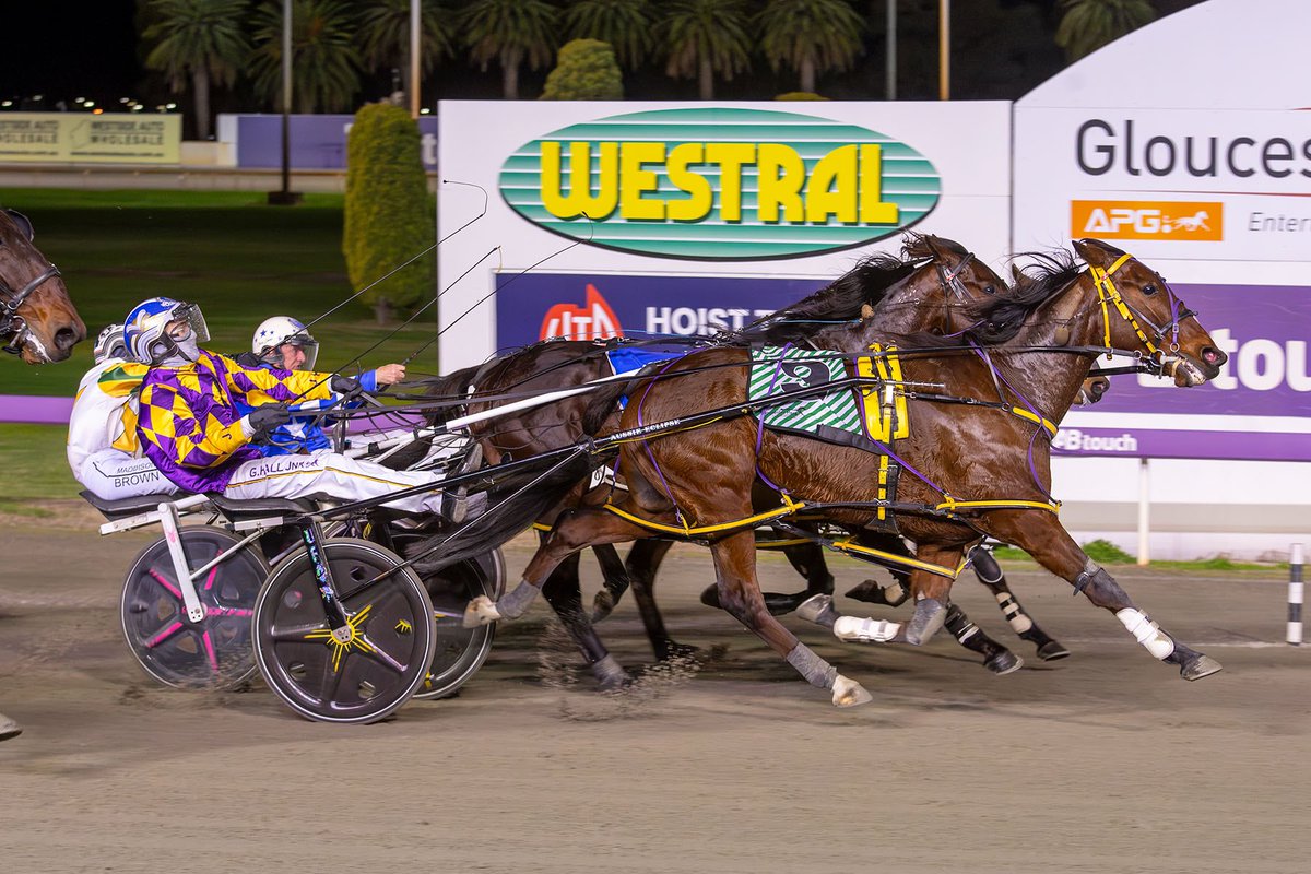 JpPacing's tweet image. MIGHTY RONALDO 💪🏼 
15.8.2025 HOIST SOLUTIONS MS PACE
Mile Rate - 1:55.4 
Two on the bounce &amp;amp; now a humble Millionaire. Congratulations Ronaldo, our little champ, you did it 💜

Well done to connections 🥇 

👨‍✈️ @GaryHallJnr 
📸 @Pacepix_AU