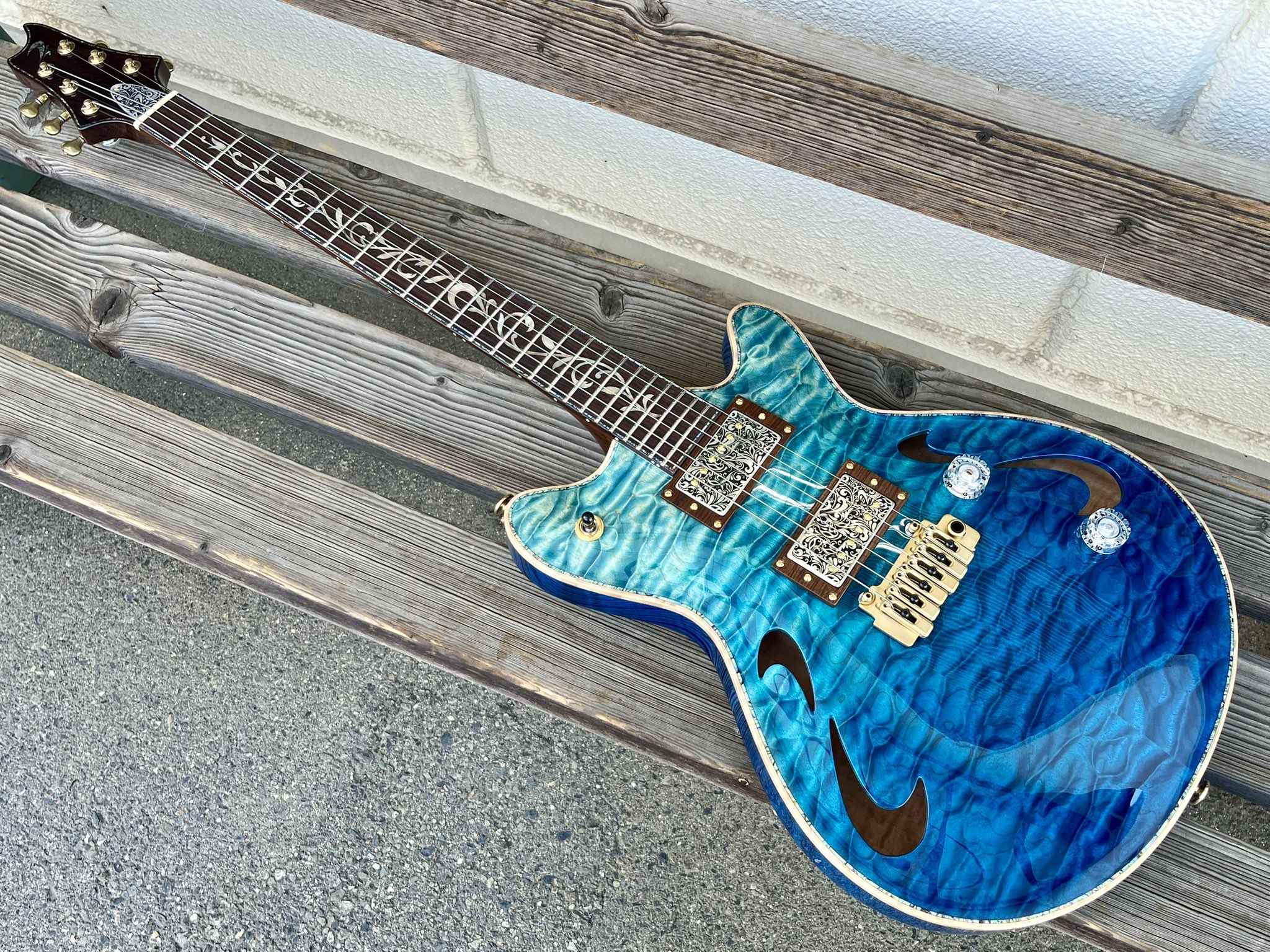 ギター　レフティ　Left　T's guitars T's Guitars DST-Pro22 Mahogany Limited BUG CUSTOM