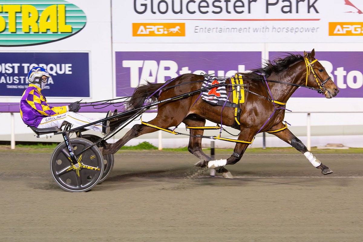 JpPacing's tweet image. IDEAL BEACH 🏝️ 
15.8.2025 HOIST TORQUE AUSTRALIA 2YO COLTS AND GELDINGS PEARL FINAL (G2) 
Mile Rate - 1:57.3 
Very proud of this boy 💜 

Congratulations to his enormous group of happy owners! 🏆 

👨‍✈️ @GaryHallJnr 
📸 @Pacepix_AU