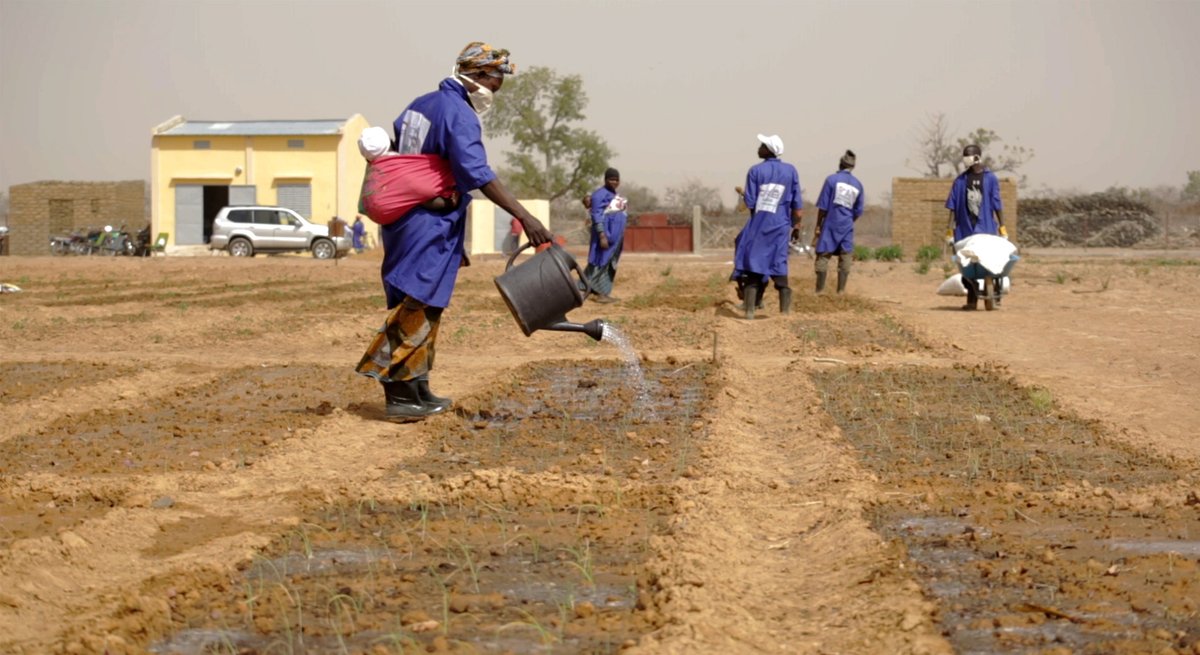 RET Germany e.V. tweet media