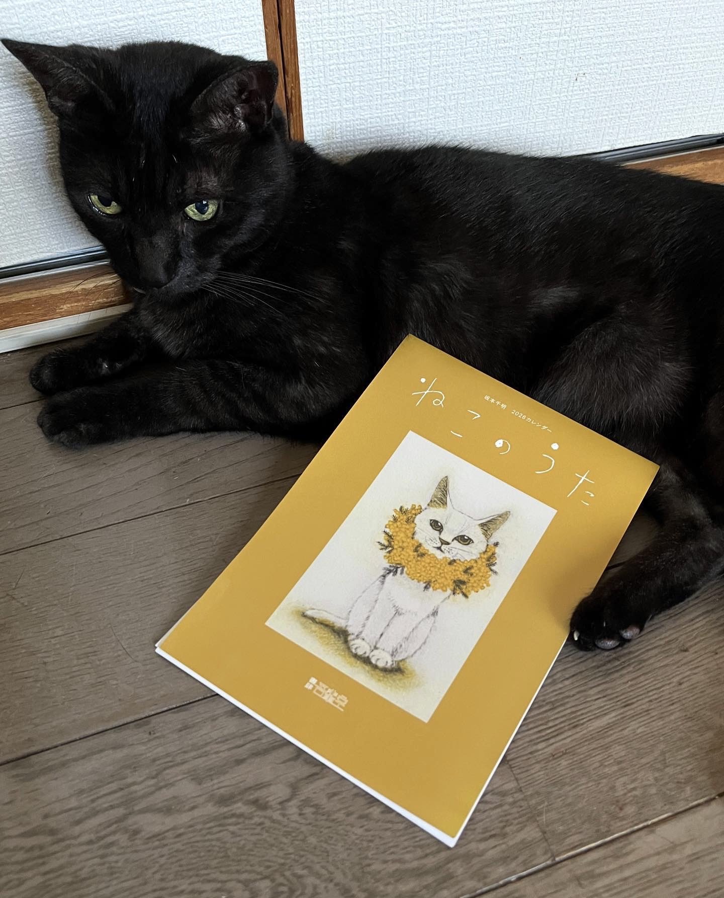 ねこ様 K2122 【1猫様用】Catlog 基本セット - 茨城県境町｜ふるさと