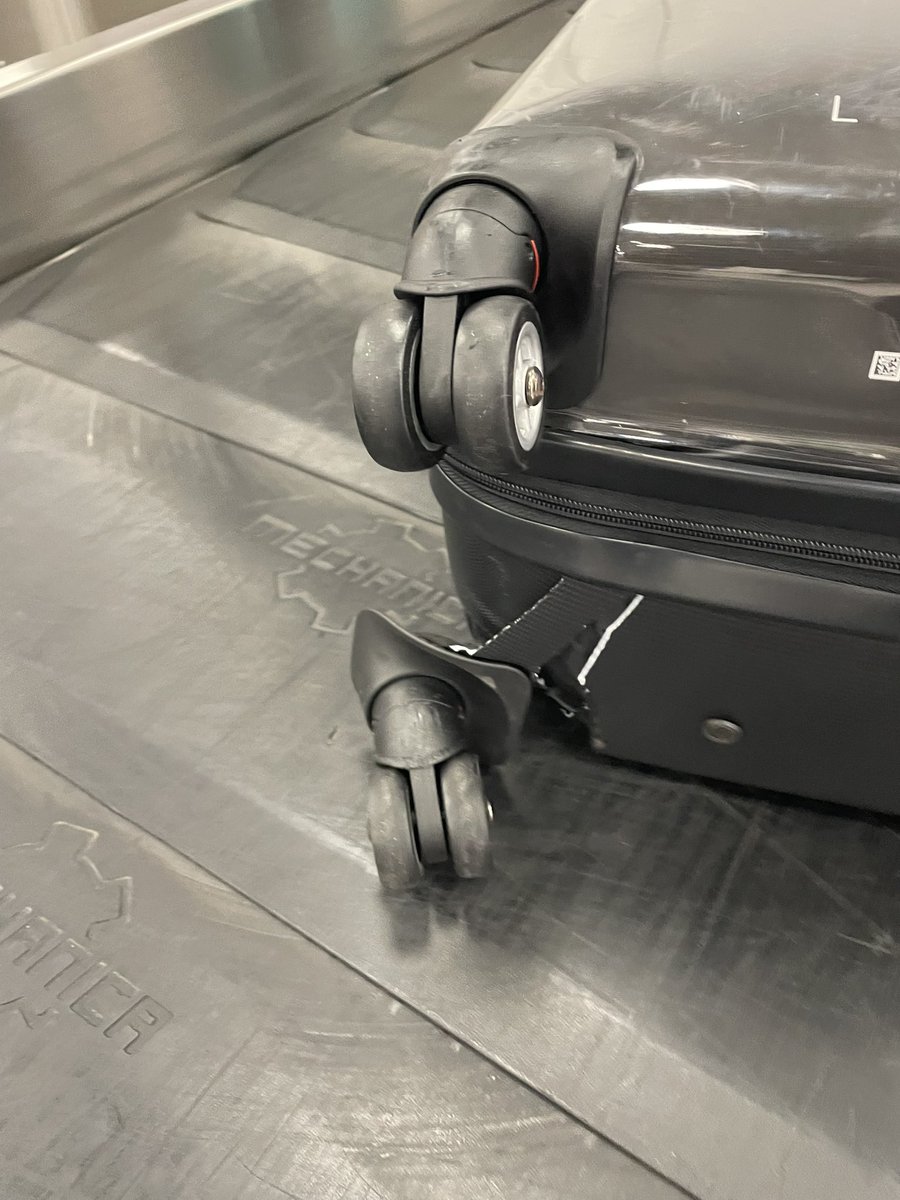 Cainesyyyy tweet media